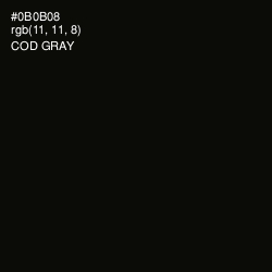 #0B0B08 - Cod Gray Color Image